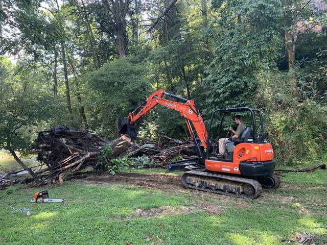 Tree removal and lot clearing by Whitener Tree Service, Blue Ridge GA — job 6