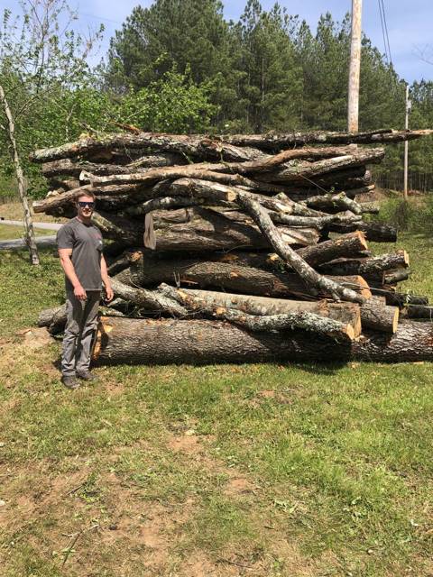 Tree removal and lot clearing by Whitener Tree Service, Blue Ridge GA — job 13