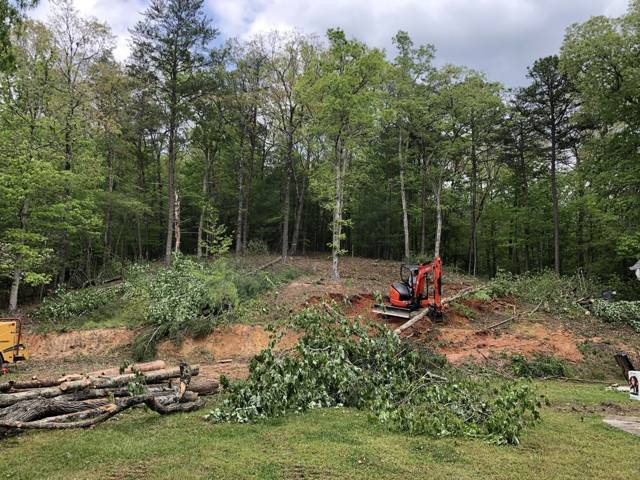 Tree removal and lot clearing by Whitener Tree Service, Blue Ridge GA — job 15