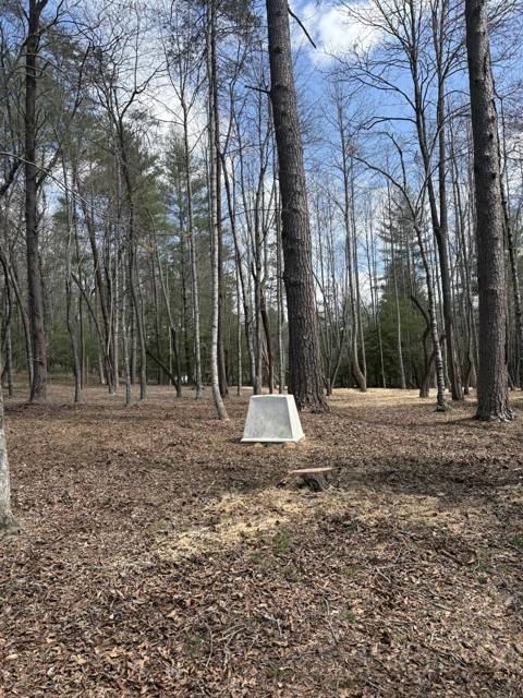 Tree removal and lot clearing by Whitener Tree Service, Blue Ridge GA — job 30