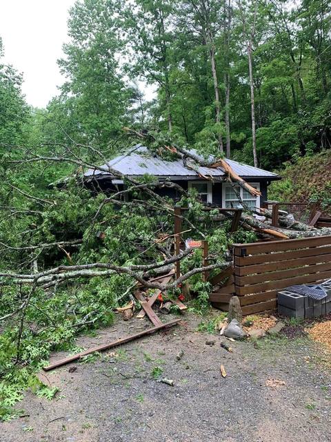 Tree removal and lot clearing by Whitener Tree Service, Blue Ridge GA — job 39