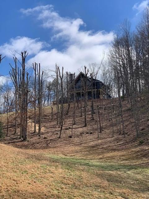 Tree removal and lot clearing by Whitener Tree Service, Blue Ridge GA — job 45