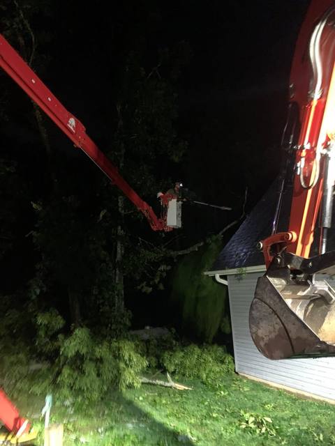 Tree removal and lot clearing by Whitener Tree Service, Blue Ridge GA — job 47